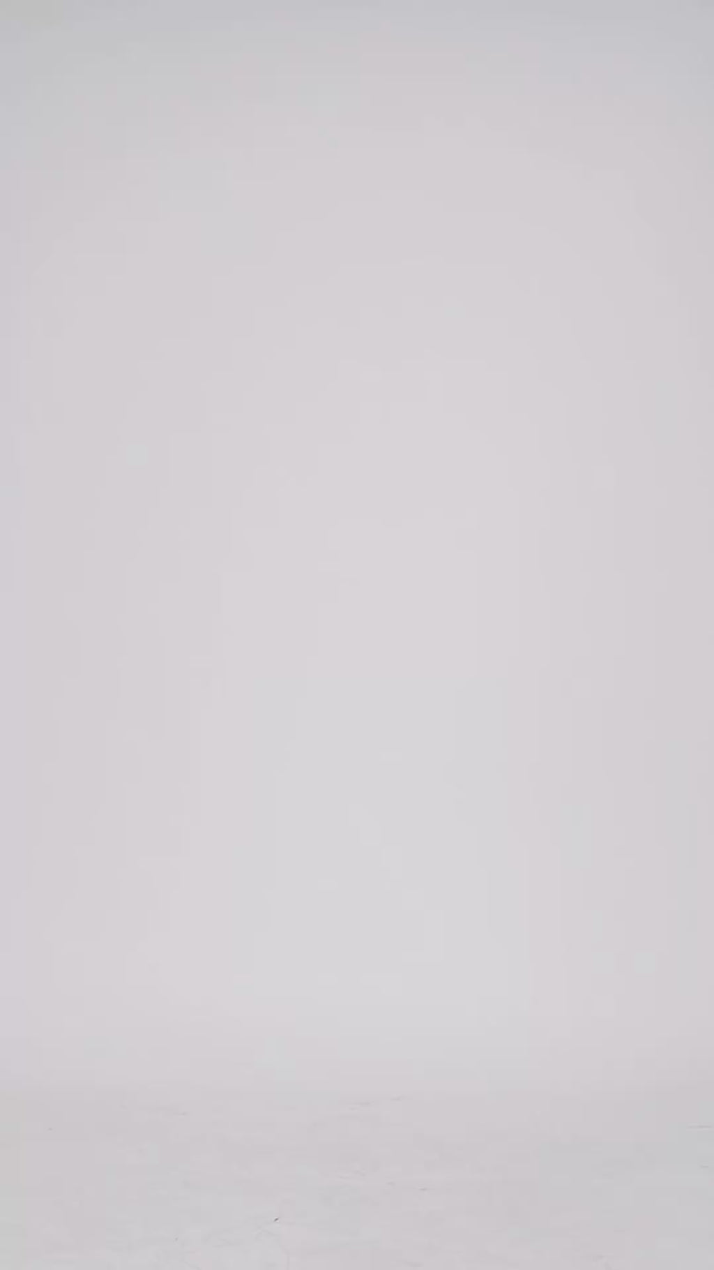 Black Orchid Solid Bodycon Dress