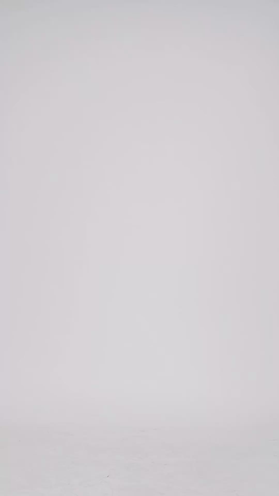 Black Orchid Solid Bodycon Dress